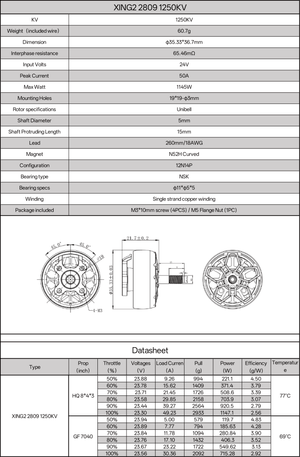 XING2 2809 FPV Motor - iFlight