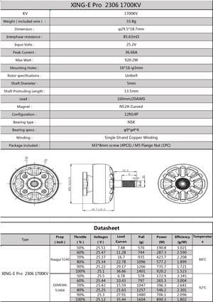 XING-E Pro 2306 FPV Motor - iFlight